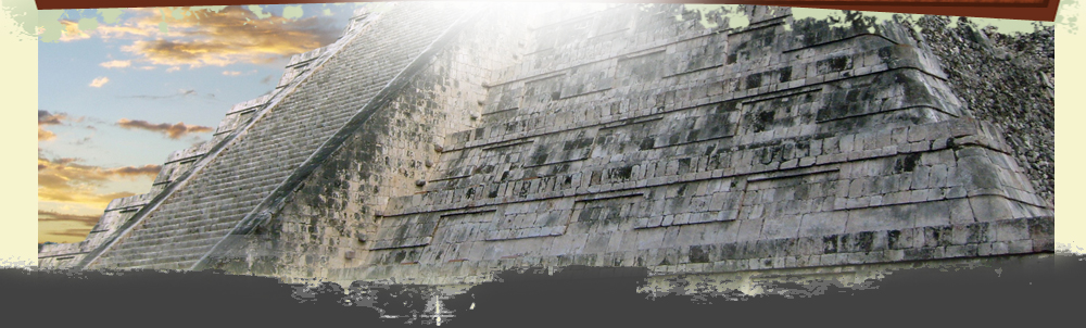 Service Banner